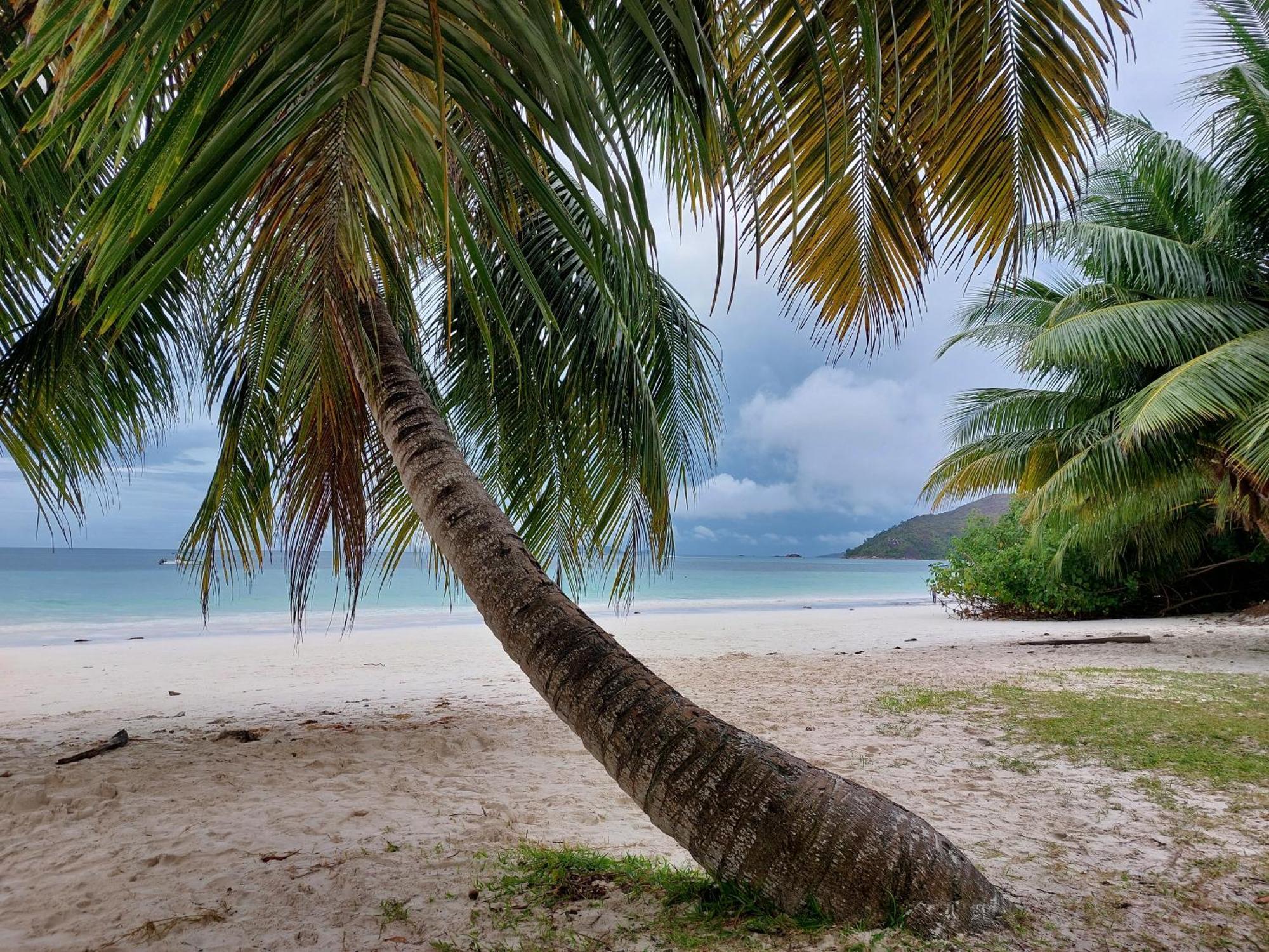 Blue Sky Self Catering Apartment Grand Anse  Exterior photo